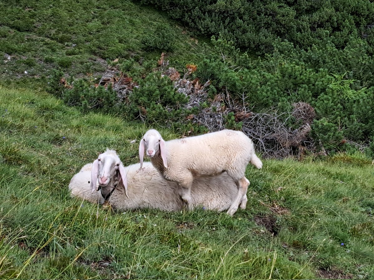 blaumann04's tweet photo. @fussball_freund Die Kumpels aus Tirol 🇦🇹 grüßen ebenfalls. https://t.co/4uU8U88o8K