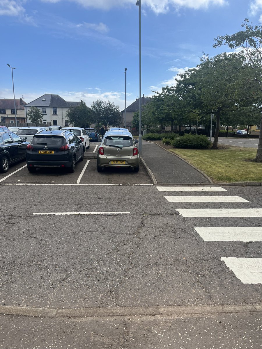 Pamela McIntosh tweet media