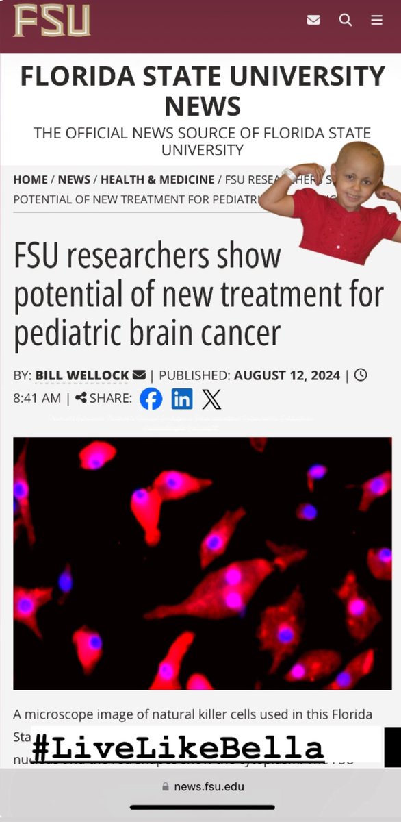 Raymond Rodriguez-Torres (@iamraymondrt) on Twitter photo Another trial funded by <a href="/LiveLikeBella/">Live Like Bella® Childhood Cancer Foundation</a> showing promise in children w brain tumors Congrats <a href="/Seminoles/">FSU Seminoles</a> #LiveLikeBella ❤️🎗️ news.fsu.edu/news/health-me… Another trial funded by <a href="/LiveLikeBella/">Live Like Bella® Childhood Cancer Foundation</a> showing promise in children w brain tumors Congrats <a href="/Seminoles/">FSU Seminoles</a> #LiveLikeBella ❤️🎗️ news.fsu.edu/news/health-me…