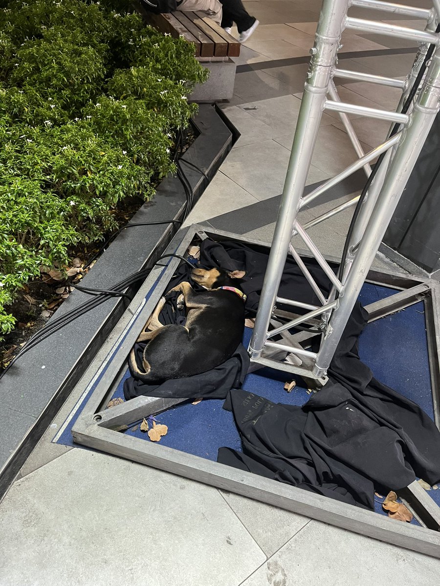 🍗🖤 tweet media