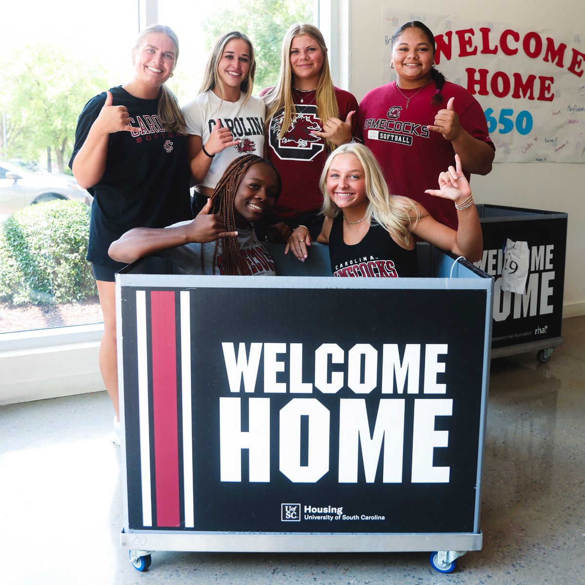 South Carolina Softball tweet media