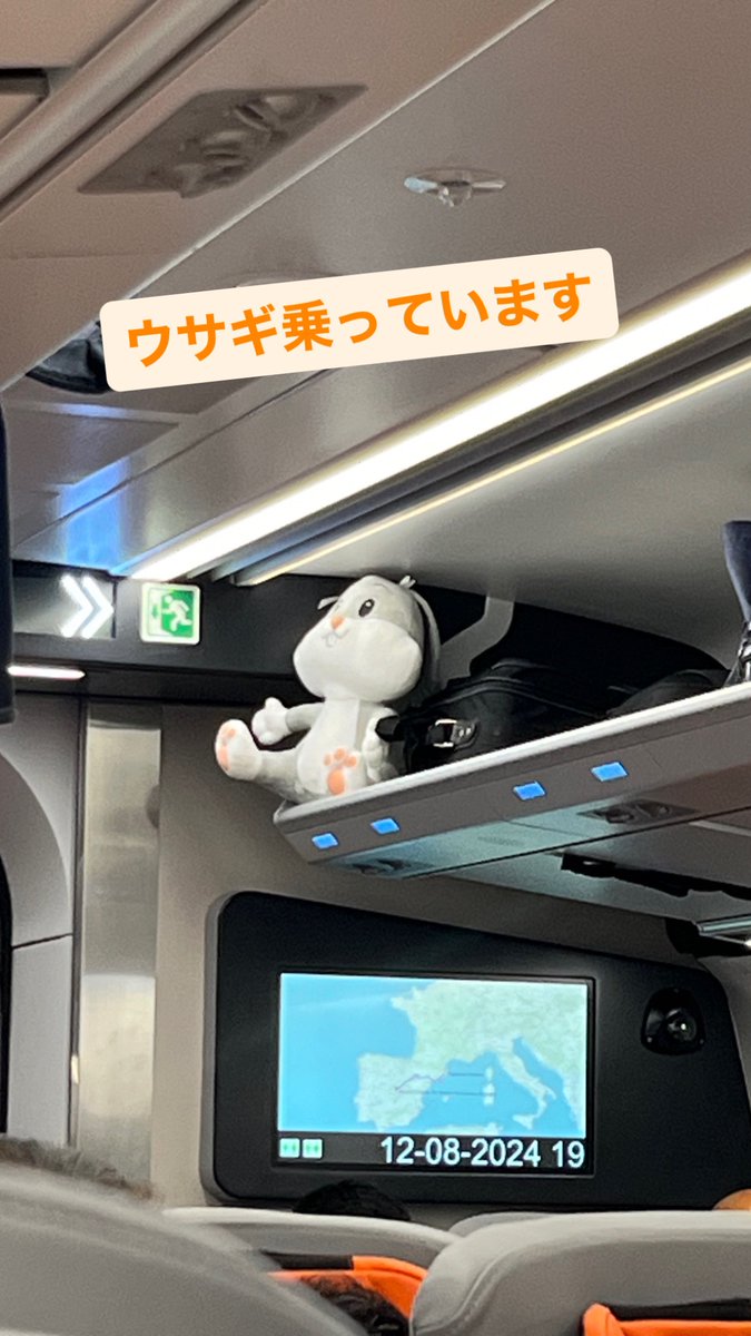 ジョルディ tweet media