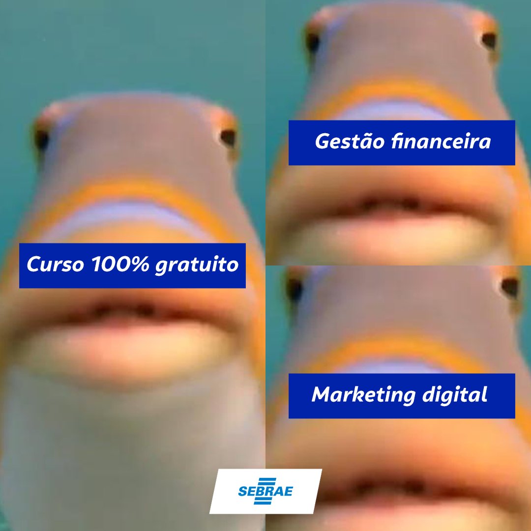 sebrae's tweet image. Foi aqui que pediram curso de marketing digital? Então segura este link aqui 🔥🔥🔥

🔗 bit.ly/MarketingDigit…
#CursoSebrae