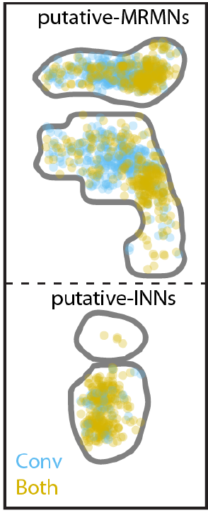 Charlie Dowell tweet media