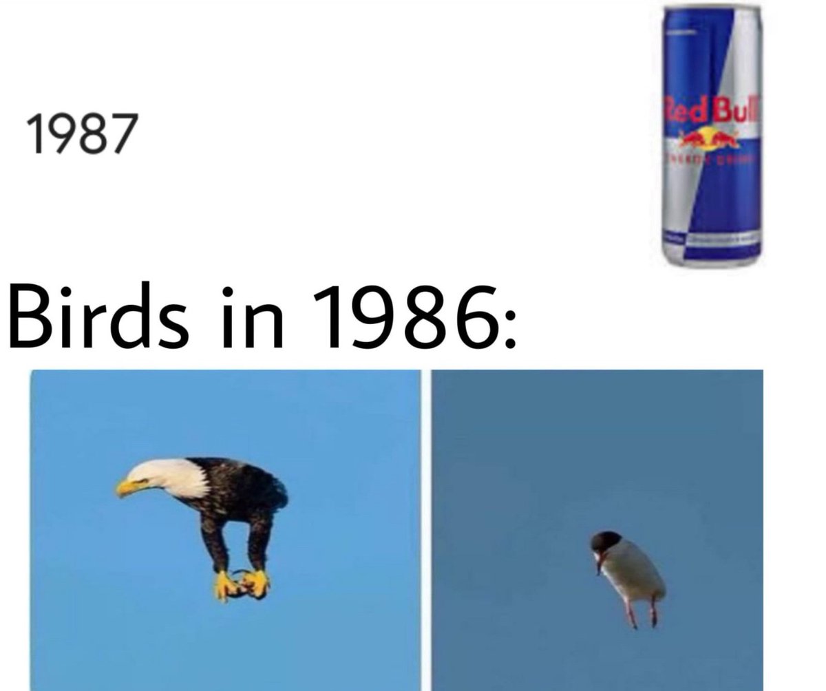 Out of Context Human Race (@nocontexthumans) on Twitter photo 