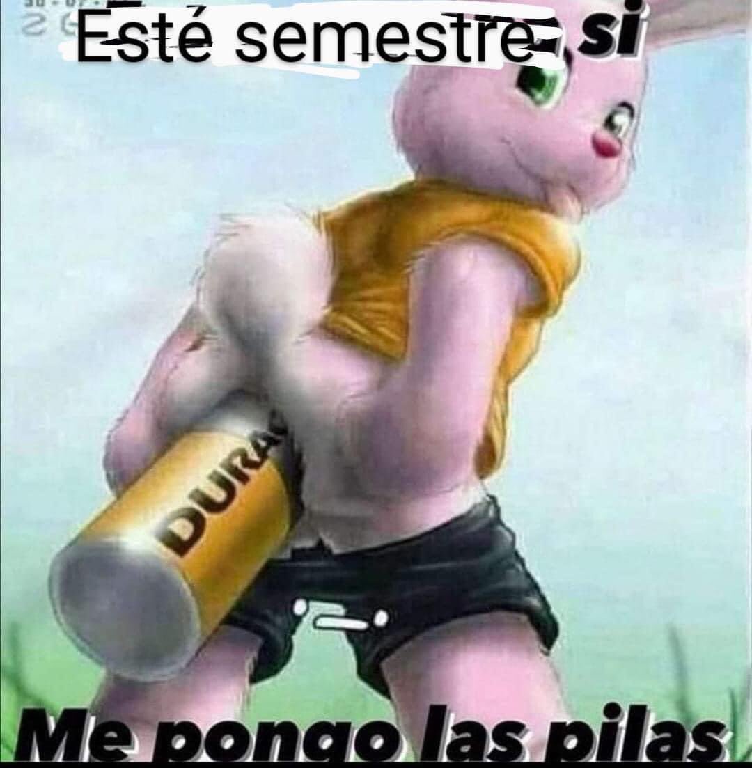 feliz primer día d u ce erre este semestre sí hablo en serio !!