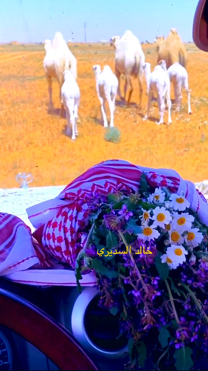 هكذا هي الحياة 

تأملت تاريخ اليوم 
فإذا هي تمر مسرعه من عمرنا
يوم بعد يوم وسنه بعد سنه
يتعاقب في نهار مضيئ وليل مظلم 
تاره يخالجك الالم 
وتاره يصالحك الامل 
حلم يتحقق وحلم يتعثر 
لقاء بلا موعد 
وفراق بلا سبب
لا البدايات التي نتوقعها
ولا النهايات التي نريدها 
تحمل في طياتها