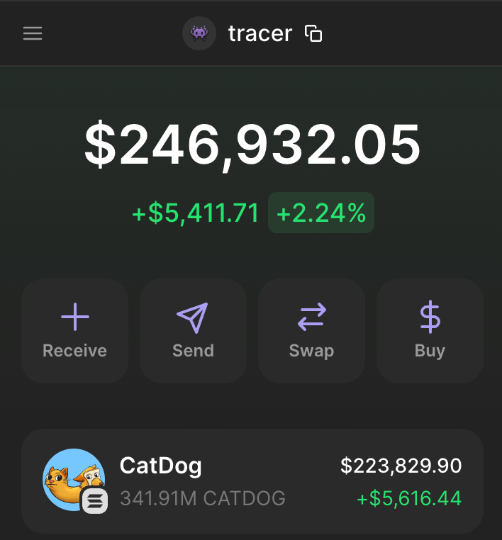 I bought 8K of $BNB at around $15 and sold it at $28...

that bag was worth $5,600,000 at ATH

Now I bought $CATDOG at $70M mc

Feels like buying $BNB at $15 again...

but now I won't sell a single token till $1B

p.s: Congrats to everyone who read this in future, we did it! 👾