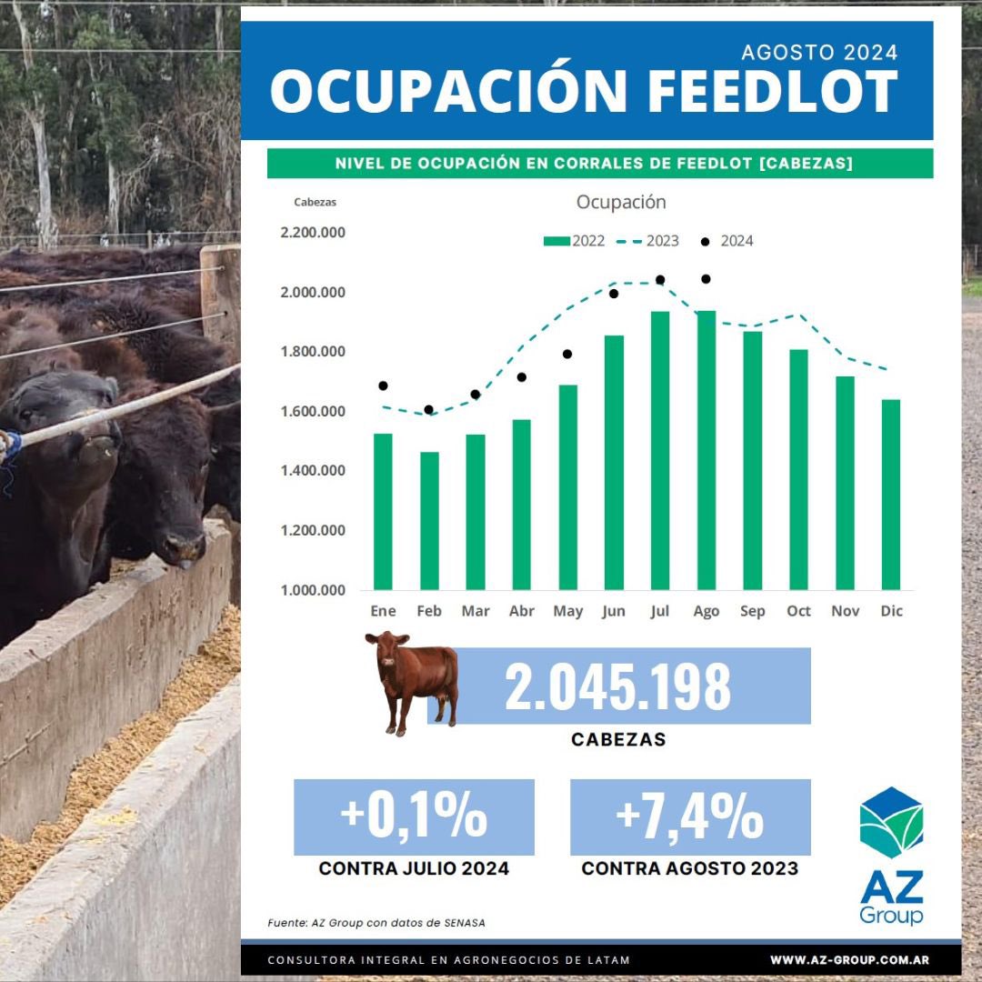 AZGroup_ok's tweet photo. ¡Buen lunes! Les compartimos la ocupación de feedlots agosto 2024🐂🌾👏🏻
#engorde #ocupacionfeedlots #agosto2024 #mercadoganadero https://t.co/bTKh7eH4Ai