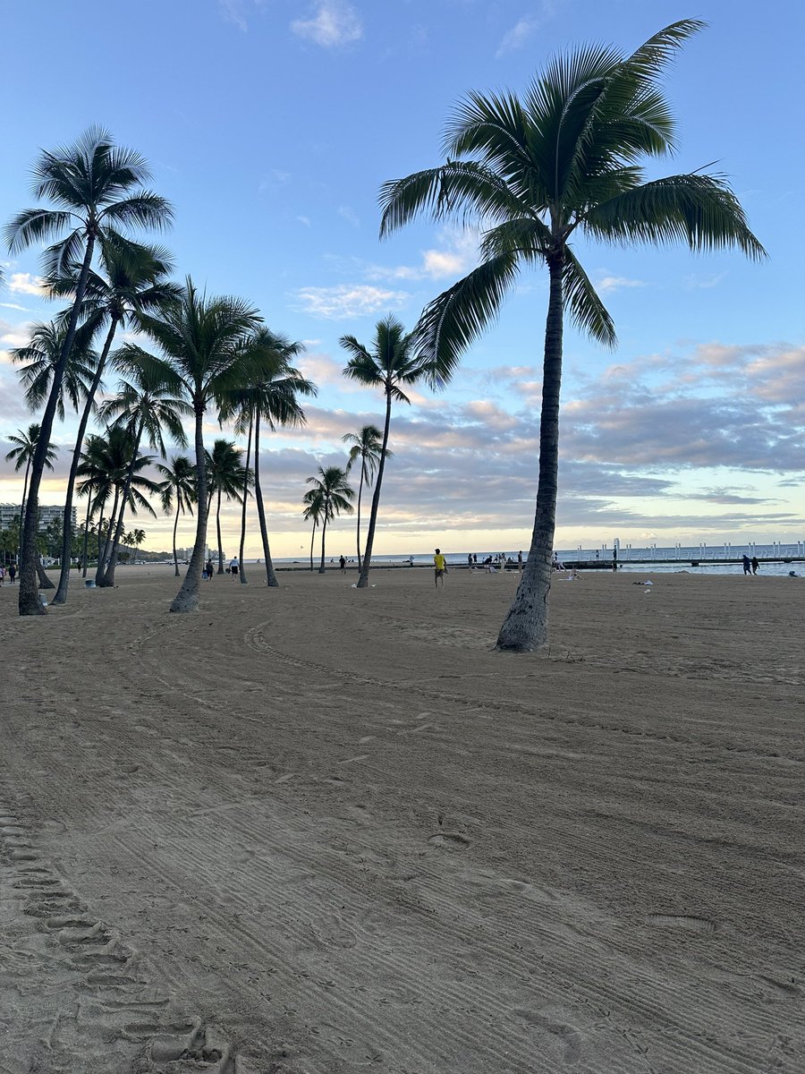 birdsofprey_1's tweet photo. Good morning Hawaii 🏝️ https://t.co/8o49wRnYeg