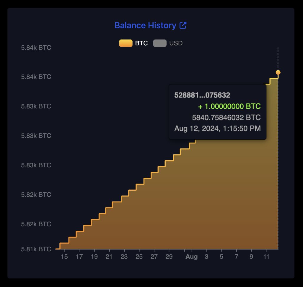 🚨EL SALVADOR KEEPS STACKING 1 BTC PER DAY! Buying one bitcoin per day  ensures an ever better future for El Salvador. #Goals 🇸🇻🚀