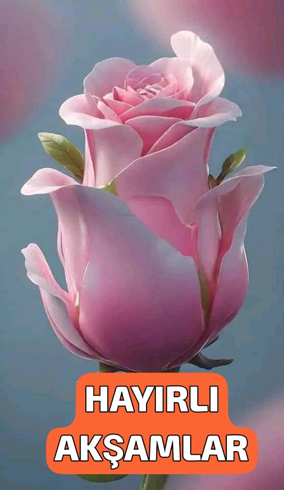 Hayırlı sağlıklı huzurlu mutlu bereketli akşamlar dilerim.