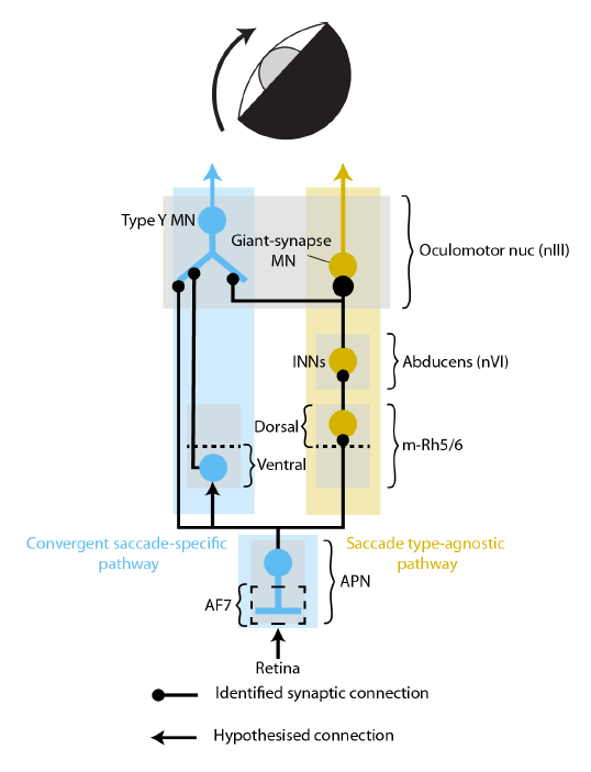 Charlie Dowell tweet media