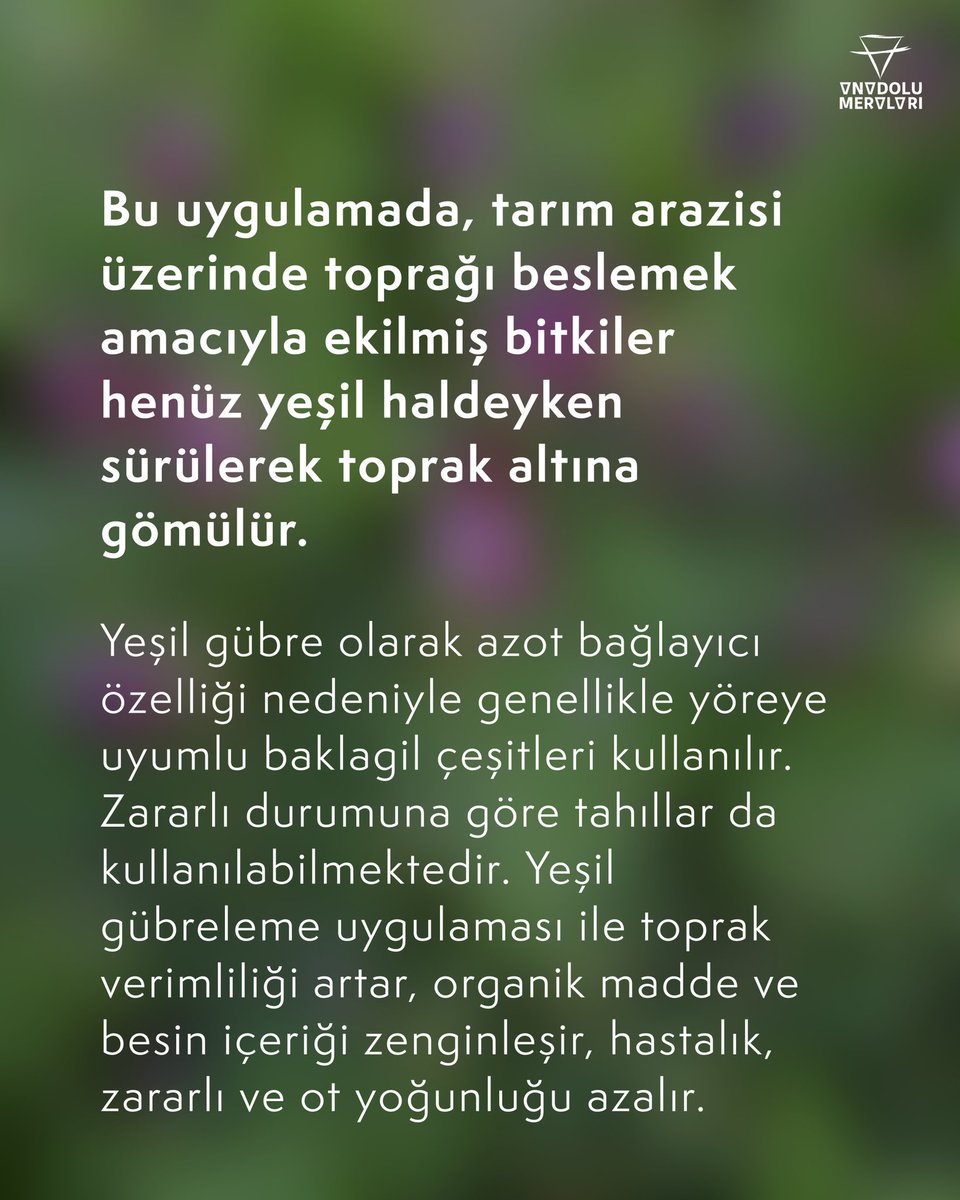 Bazı arazilerde toprağı örtü bitkileriyle koruma veya kompost kullanımı etkili olabilirken bazılarında tarımsal ormancılık uygulaması daha faydalı olabilir. 🌳