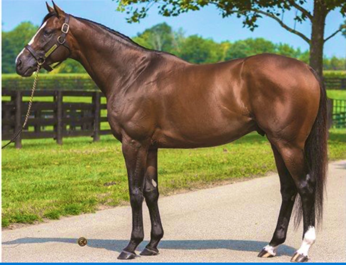 The Seasons List tweet media