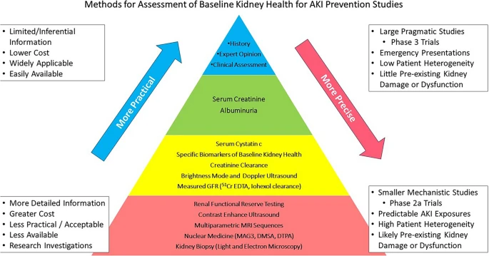 Recommendations for clinical trial design in #AKI
ADQI XXXI consensus statement 👇
rdcu.be/dQGSK