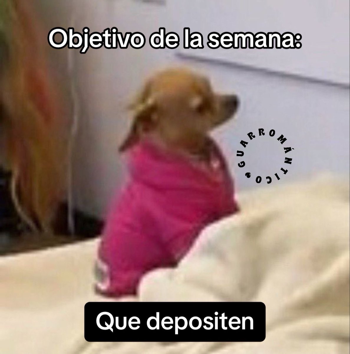 Escritos (@aquilolei) on Twitter photo 