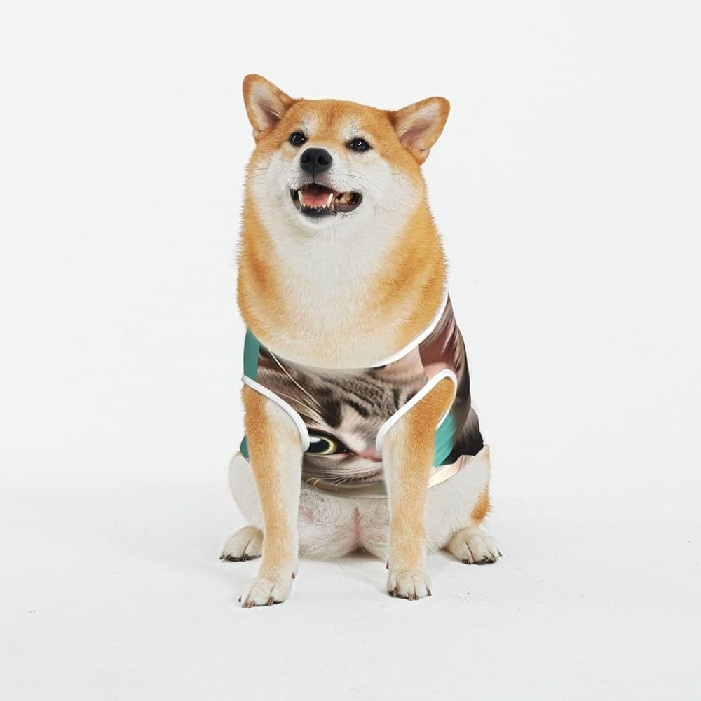pawjamasonsol's tweet photo. Such pajamas. Much cozy. Very purr. ๐พ๐บ Even Doge approves of our #Pawjamas style!
#pawjamas #Meme #Doge #crypto https://t.co/8sq3WCMpMW