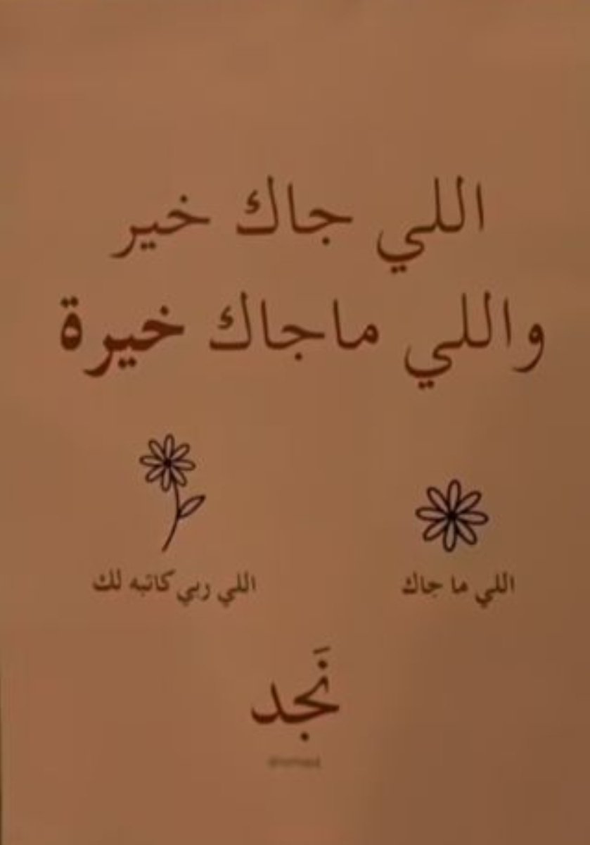 زهرة التوليب ⚘🇴🇲 tweet media