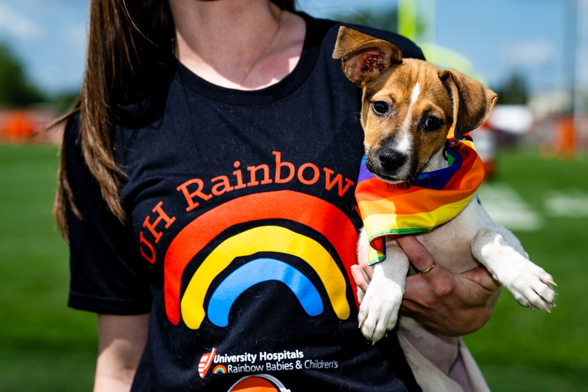 Browns's tweet photo. Today's our @UHhospitals Rainbow Day at Training Camp to show support for our healthcare heroes at Rainbow Babies & Children's Hospital π
Come by #PuppyPound presented by @SugardaleFoods to meet this cute pup and their friends that are also up for adoption! πΎ https://t.co/GuZFVt7iqw