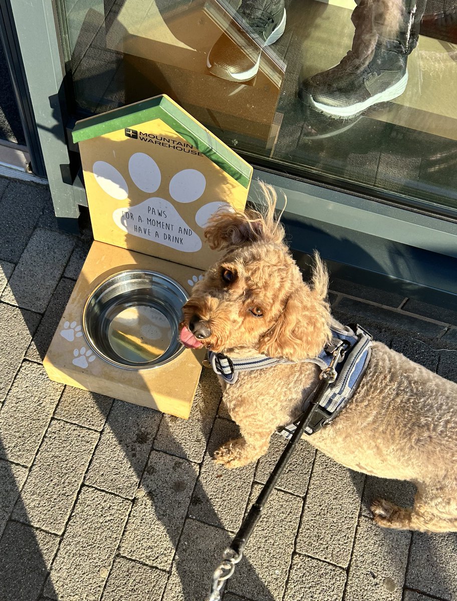 Book Monster Ally tweet media