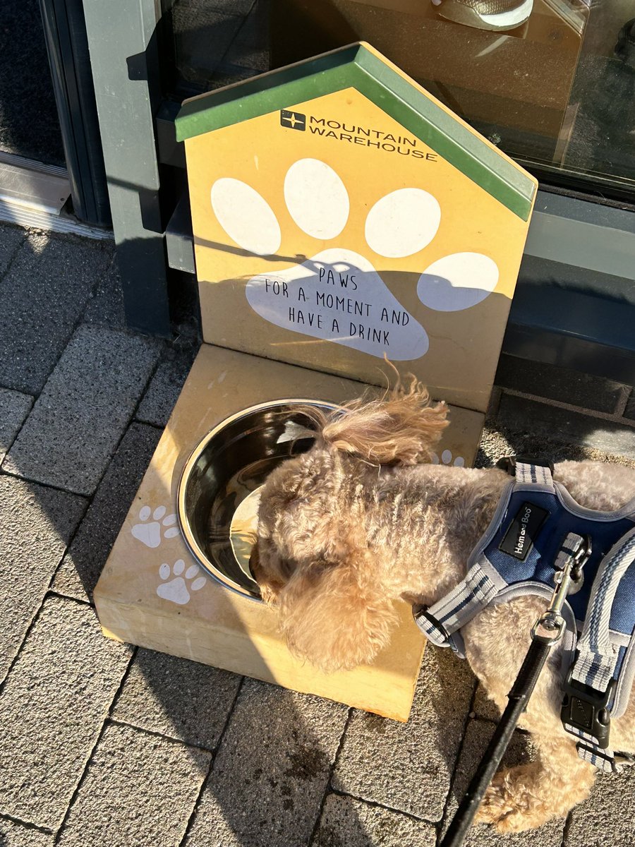 Book Monster Ally tweet media