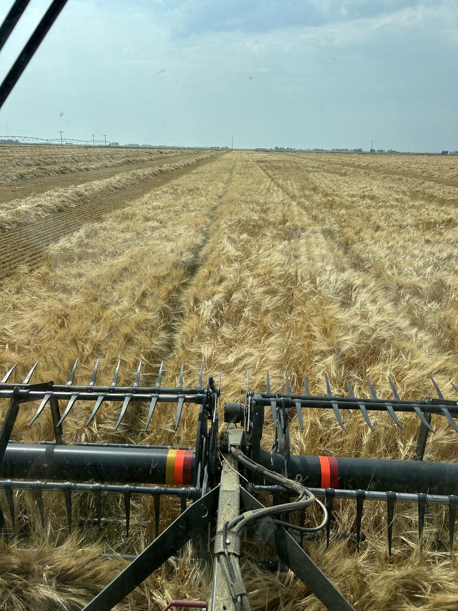 Matt Slingerland tweet media