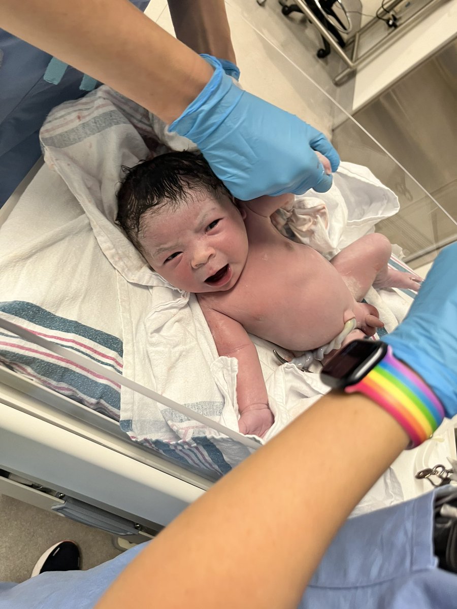 AboveaverageJ80's tweet photo. So this just happened 

Introducing baby Phoenix https://t.co/OC5ODzpLiS
