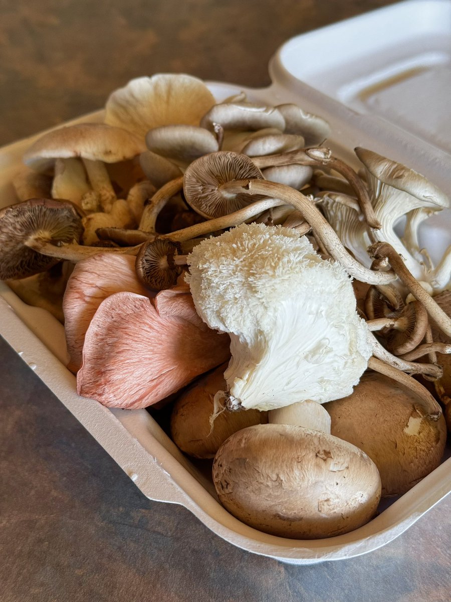 Mushroom risotto tonight with the assortment I scored at the Lindsay farmer’s market.