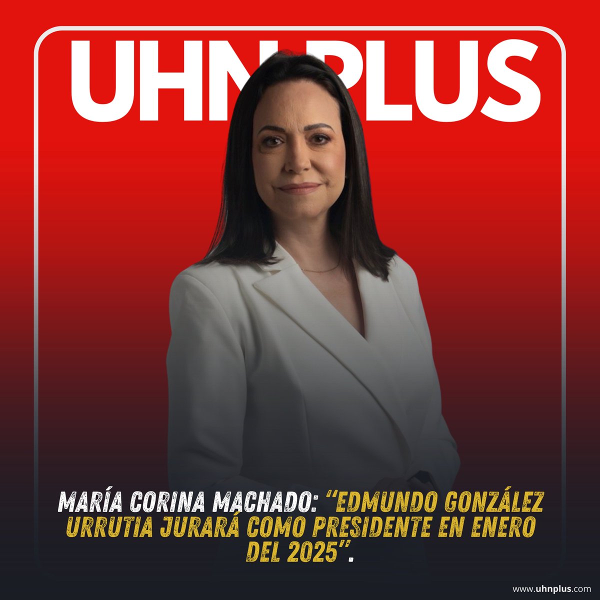 🇻🇪 | AHORA

María Corina Machado:: “Edmundo González Urrutia jurará como presidente en enero del 2025”.