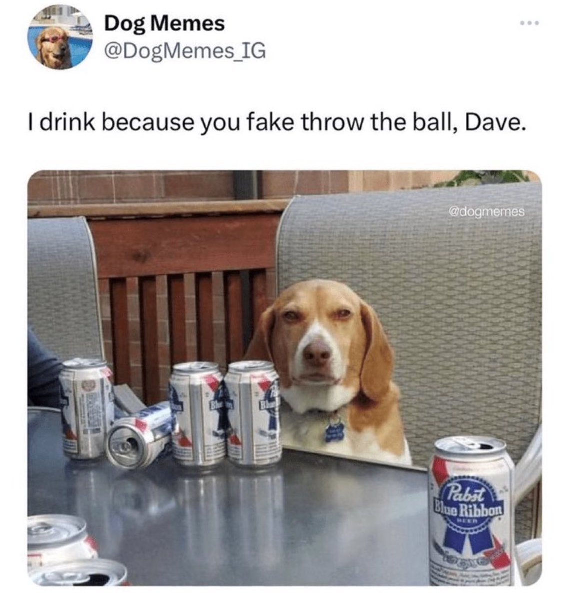 SpillTheMemes's tweet image. Stop it, Dave