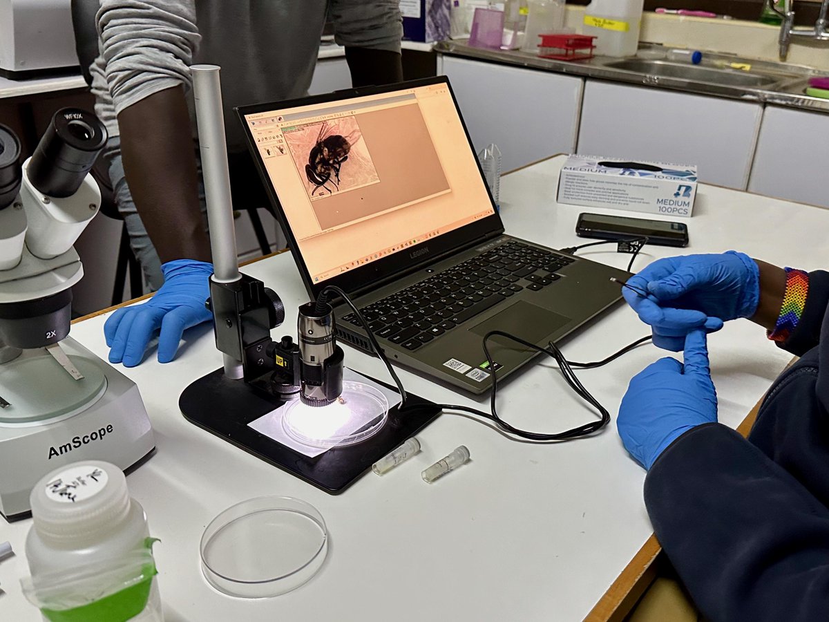 Arkansas Agricultural Experiment Station (@arkagresearch) on Twitter photo Our researchers are helping build REDI-NET, an online pathogen database for <a href="/DeptofDefense/">Department of Defense 🇺🇸</a>. Listen as Emily McDermott explains how her lab is playing a major role in the project: aaes.uada.edu/podcast/buildi…
<a href="/No_See_Em/">Emily McDermott</a> <a href="/ArkansasEPP/">Arkansas Entomology and Plant Pathology</a> <a href="/ndeckinstitute/">ND Eck Institute for Global Health</a> <a href="/NDBios/">Notre Dame Biology</a> <a href="/AgIsAmerica/">Agriculture is America</a> Our researchers are helping build REDI-NET, an online pathogen database for <a href="/DeptofDefense/">Department of Defense 🇺🇸</a>. Listen as Emily McDermott explains how her lab is playing a major role in the project: aaes.uada.edu/podcast/buildi…
<a href="/No_See_Em/">Emily McDermott</a> <a href="/ArkansasEPP/">Arkansas Entomology and Plant Pathology</a> <a href="/ndeckinstitute/">ND Eck Institute for Global Health</a> <a href="/NDBios/">Notre Dame Biology</a> <a href="/AgIsAmerica/">Agriculture is America</a>