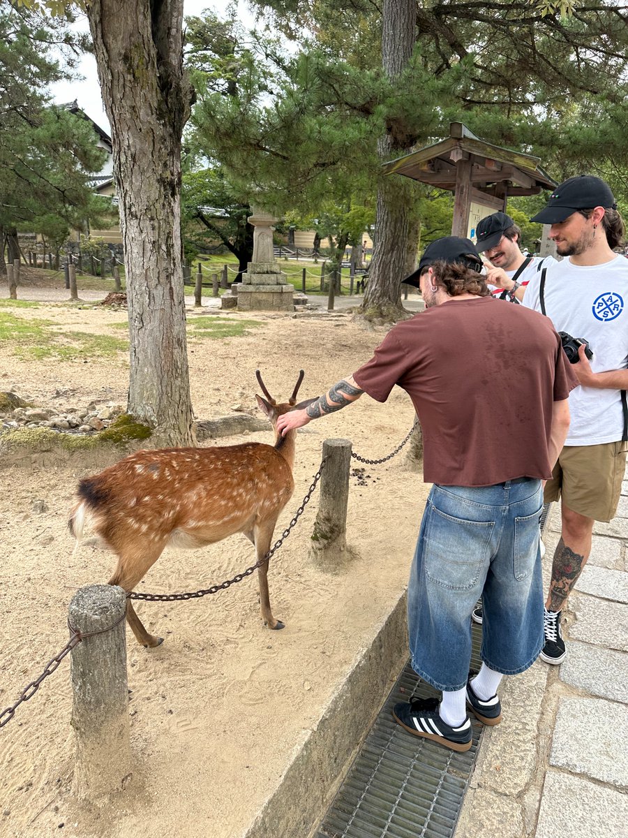 rnrtoursjp's tweet photo. ACID SNOTとの4公演は素晴らしい時間になりました🦌
日本各地でお世話になった皆様、ライブを見てくださった皆様、本当にありがとうございました! 写真は名古屋公演前に訪れた奈良公園にて📷 #ACIDSNOT https://t.co/saXX1VTUBK
