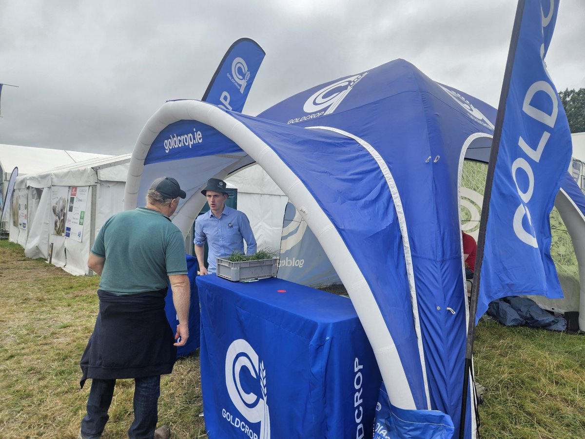 patrick cashman tweet media