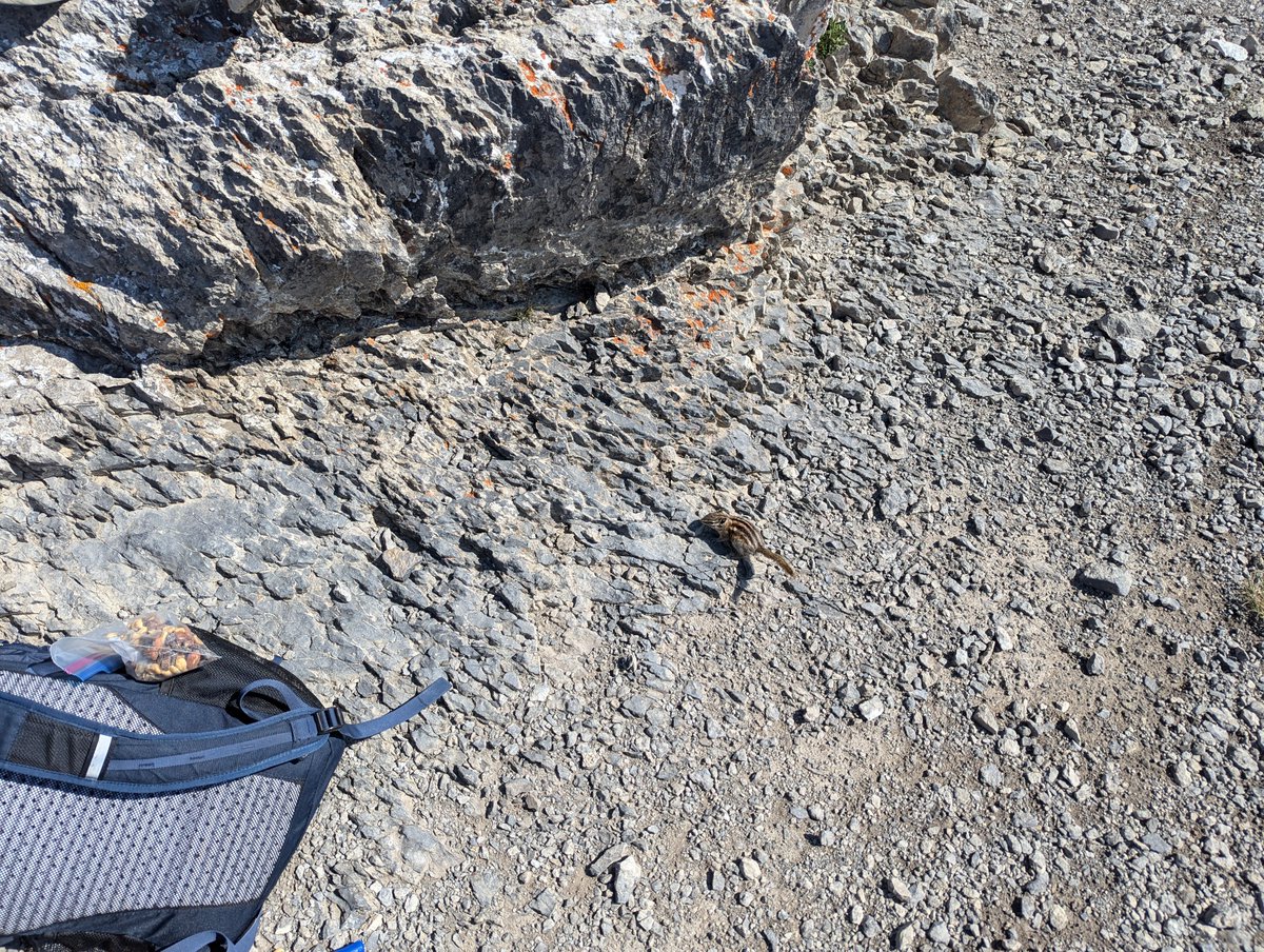 ktbsievers's tweet image. 📍East End of Rundle