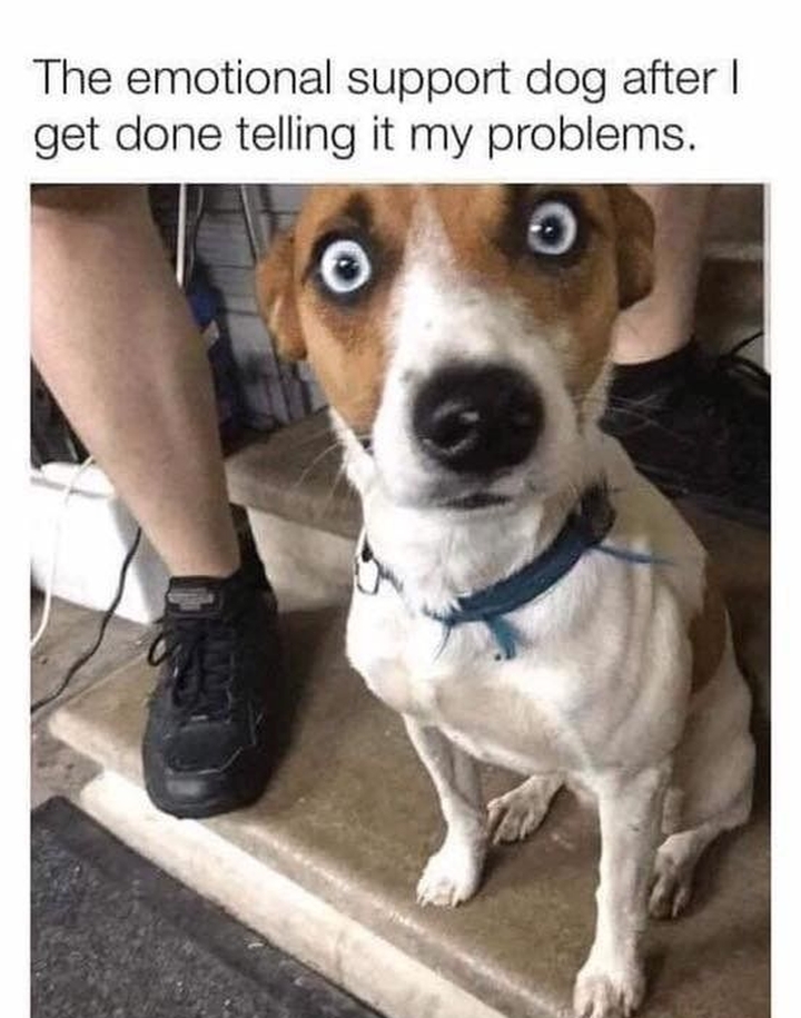 Dalbodog's tweet photo. 😵‍💫😀 https://t.co/XDMKLnLpfs
