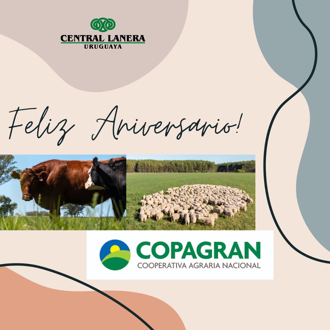 Feliz Aniversario! 🎂
👏Desde aquí reciban nuestras felicitaciones por estos 19 años de trayectoria!🙌