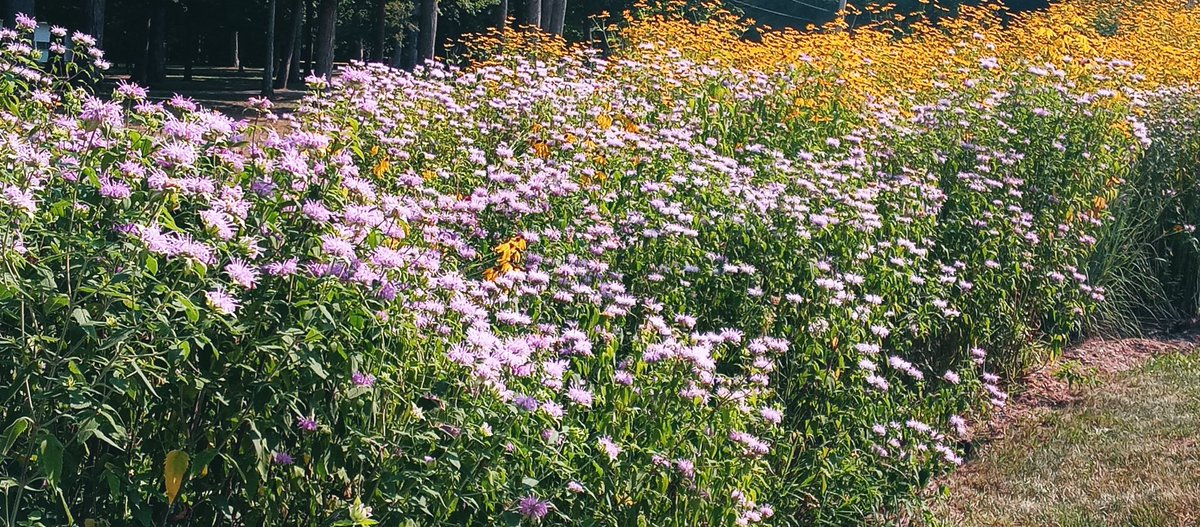 Lost and about in northern Michigan.  The more I travel the more appreciate the simple things.