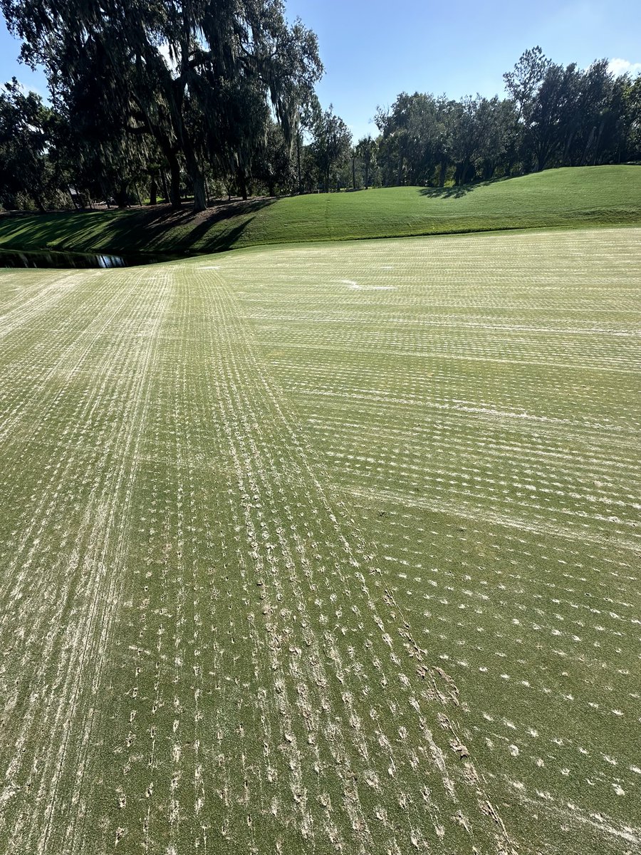 Chase Sbarro tweet media