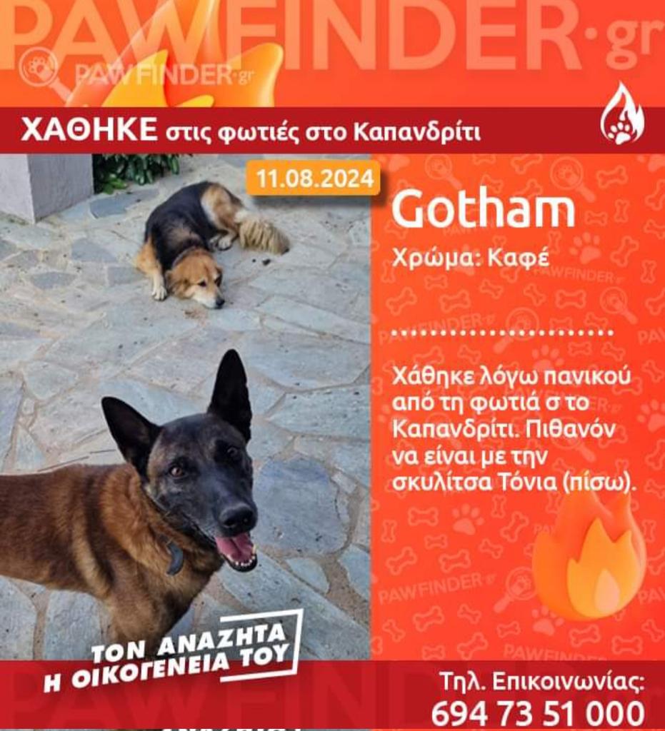 Maria Sakellariou tweet media