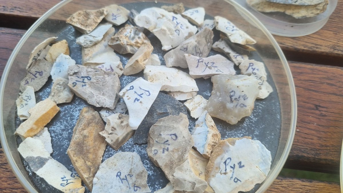 Peter Hyldgård tweet media