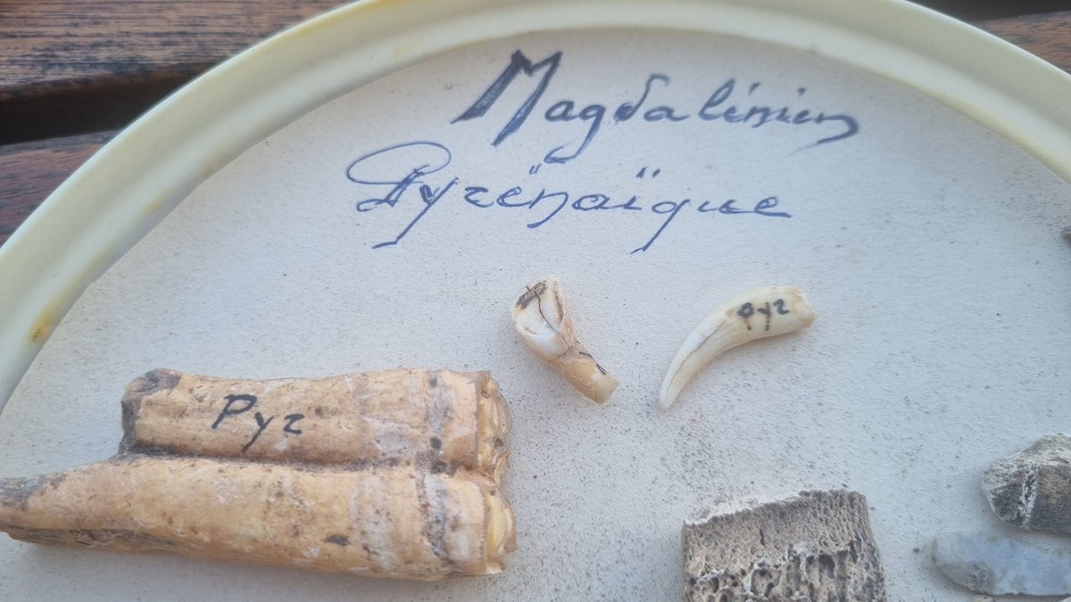 Peter Hyldgård tweet media