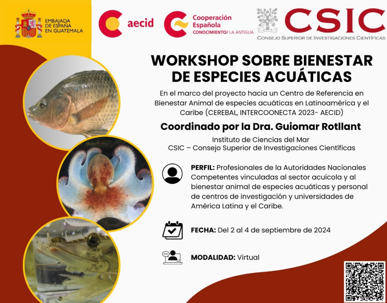 DeAcuicola's tweet photo. ¡Toma nota!

Del 02 al 04 de septiembre se llevará a cabo el Workshop sobre Bienestar de Especies Acuáticas. 🐟 https://t.co/X1EZ0bsA3v
