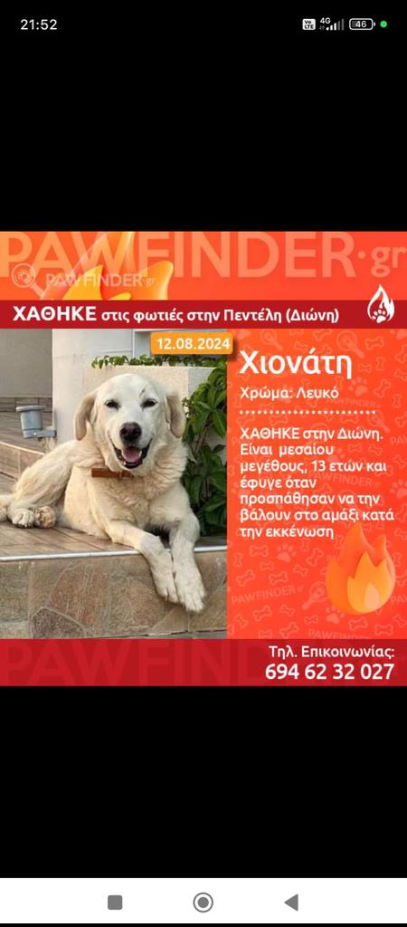 Maria Sakellariou tweet media