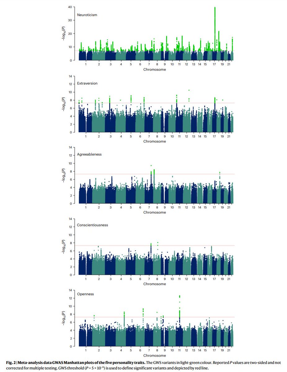 DrSamuelBHume's tweet image. Genetics of the 'big five' personality traits

Neuroticism has the strongest genetic links, followed by extraversion, openness, agreeableness, and then conscientiousness
