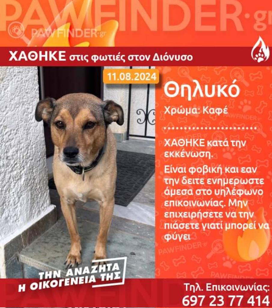 Maria Sakellariou tweet media