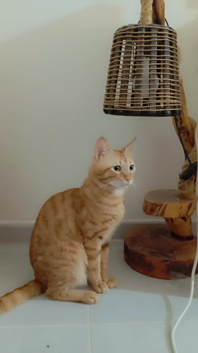 Asil bir beyefendi 💞