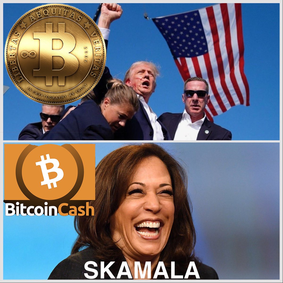 CryptoIife's tweet image. Skamala Harris can try but... We see her. 
She will treat us like the black voter base = Ignore, deceive, undermine until....election season. 
Trump the Don is the real one. 
#Skamala