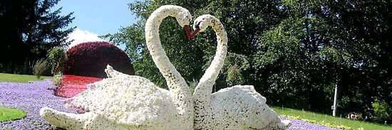 IsabelleM83107's tweet image. Humm l&apos;amour trop beau 😍💓