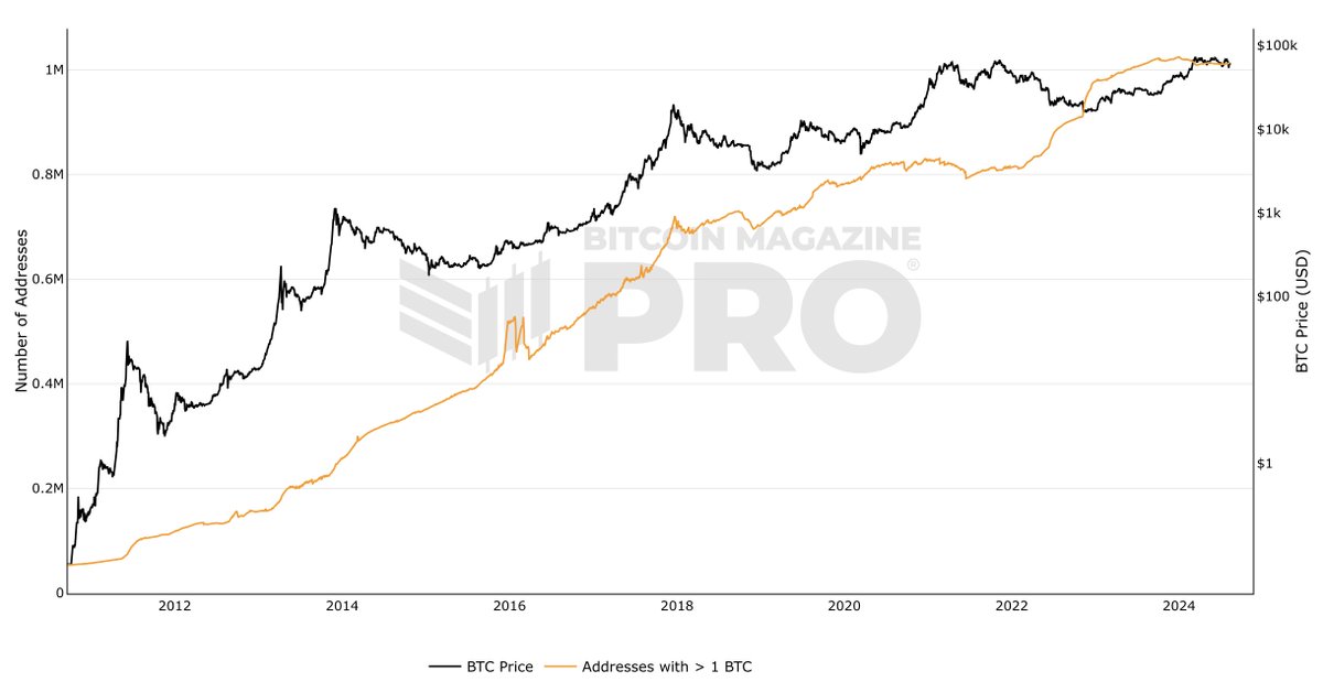BitcoinMagazine's tweet image. NEW: Over 1 million #Bitcoin addresses now HODL 1 #Bitcoin or more 👀

That's 1 million future millionaires 🔥
